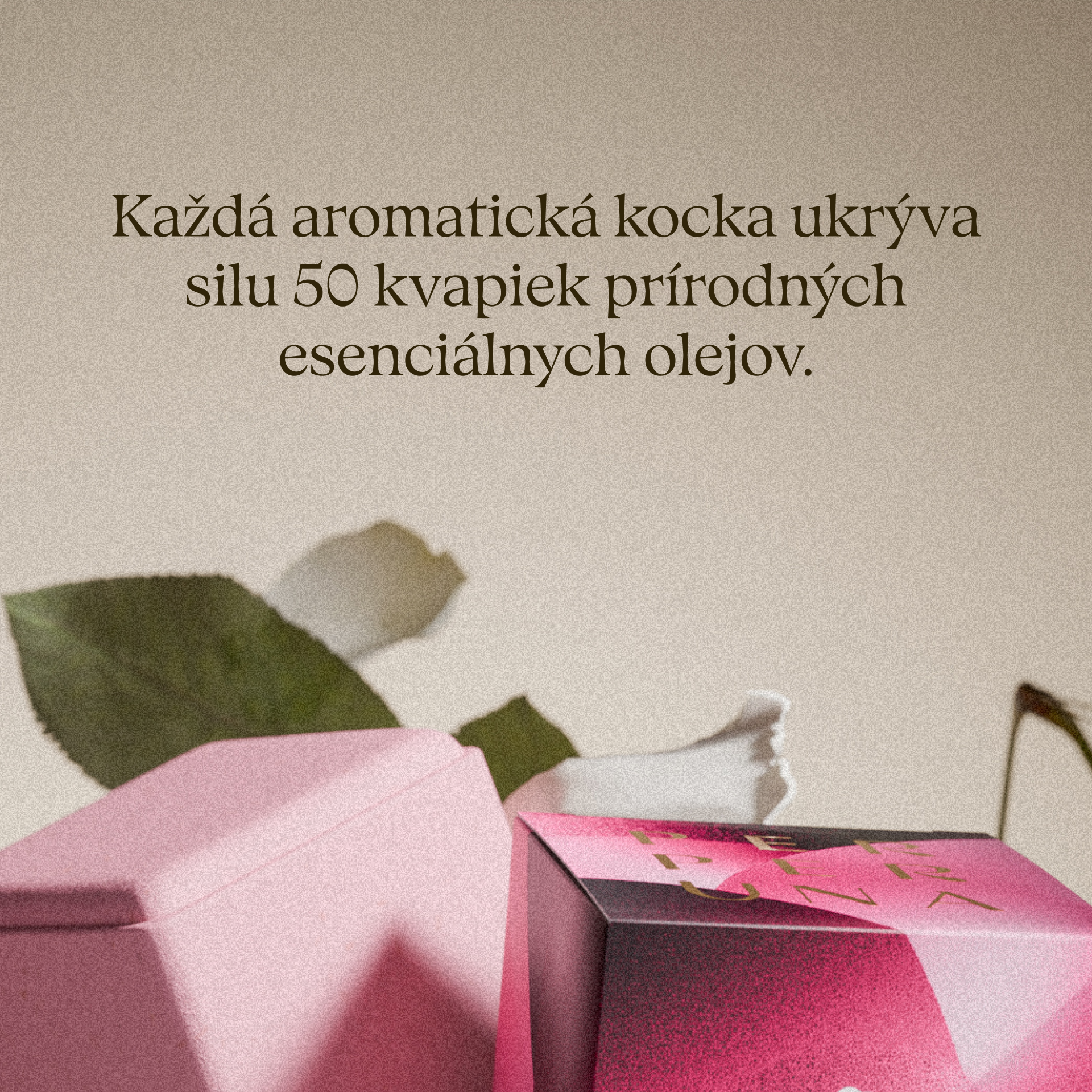 Love - Sprchová aromatická kocka