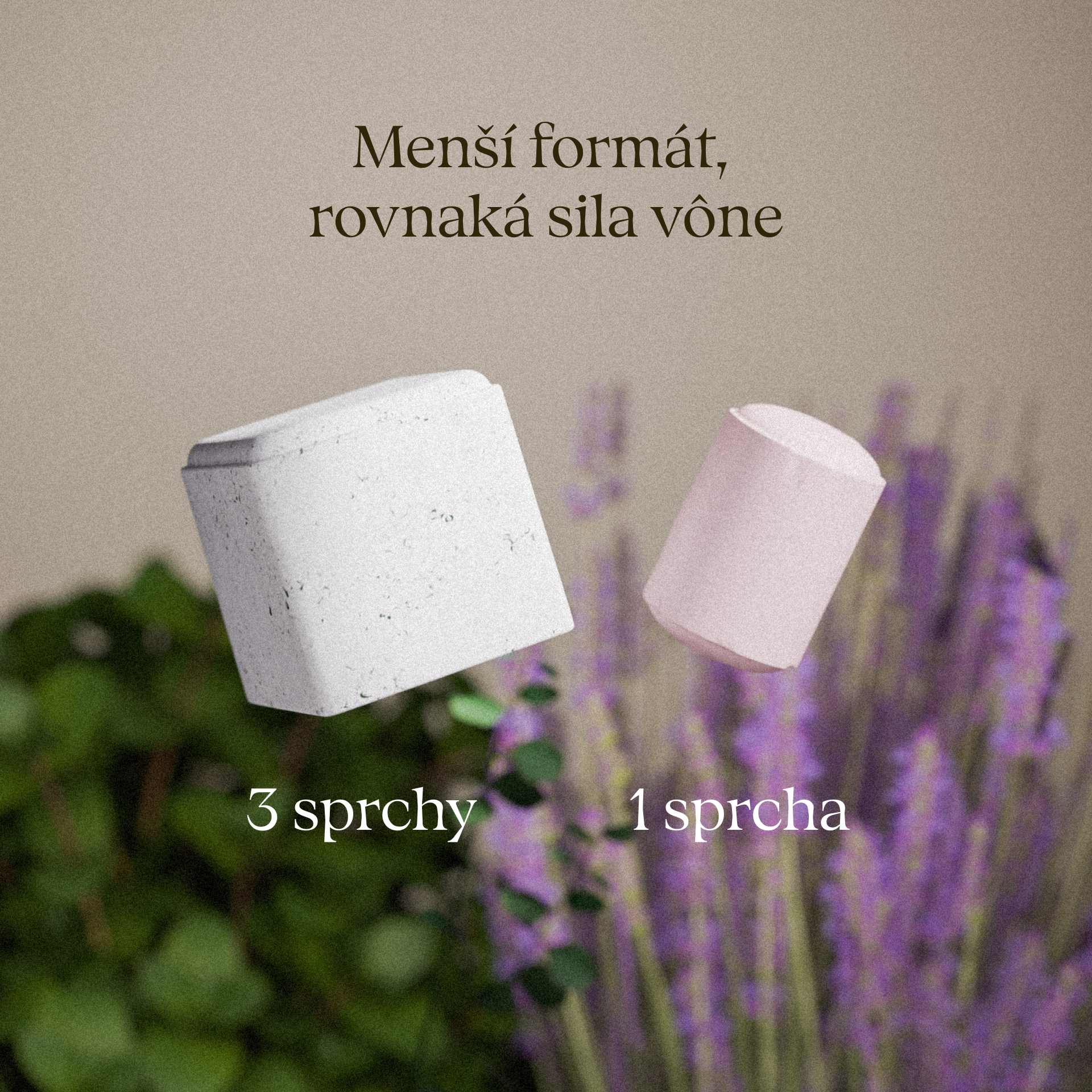 Limitovaná edícia: Čierna miska + Refresh, Calm a Gingerbread Sprchové guľôčky