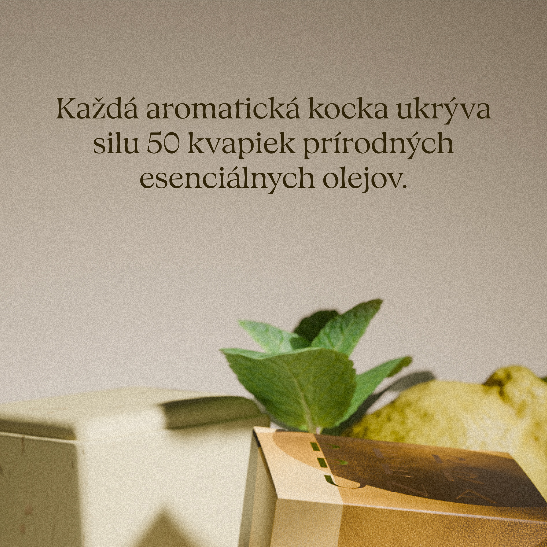 Uplift - Sprchová aromatická kocka