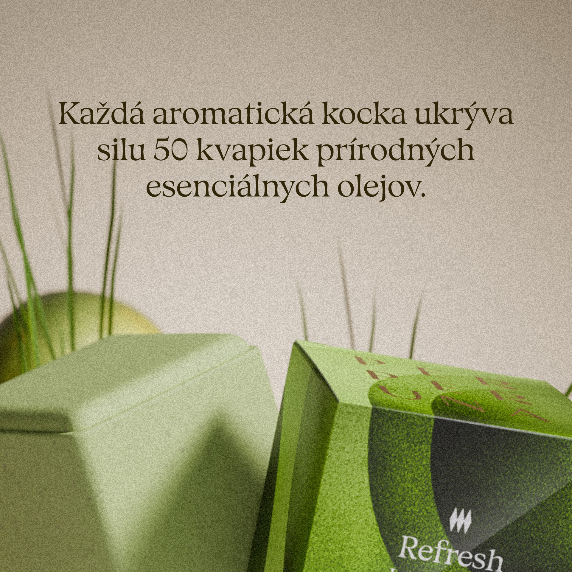 Refresh - Sprchová aromatická kocka