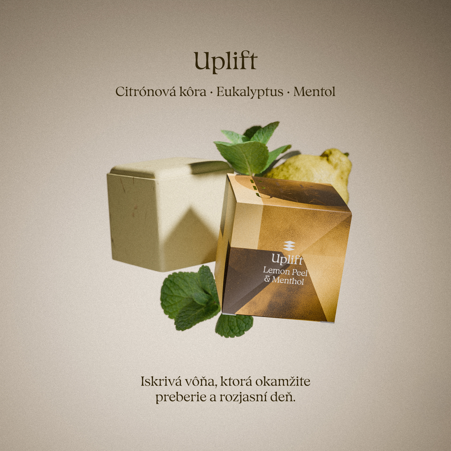 Uplift — sprchová aromatická kocka s vôňou citrónovej kôry, eukalyptu a mentolu