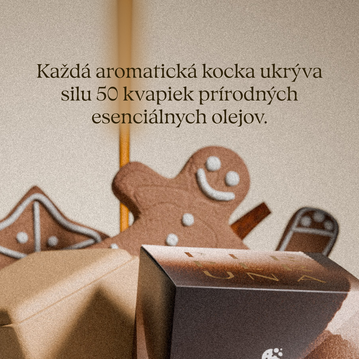 Každá aromatická kocka ukrýva silu 50 kvapiek prírodných esenciálnych olejov – Warm