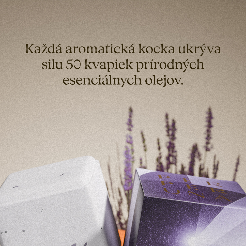 The Ritual - Kompletný set s kamennou miskou