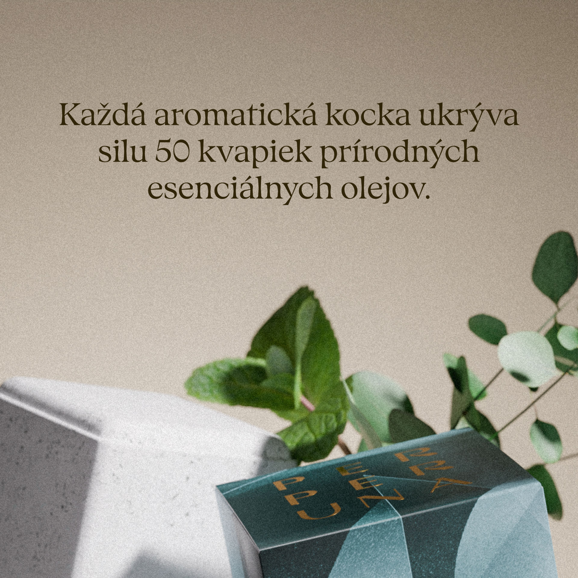 Breathe - Sprchová aromatická kocka